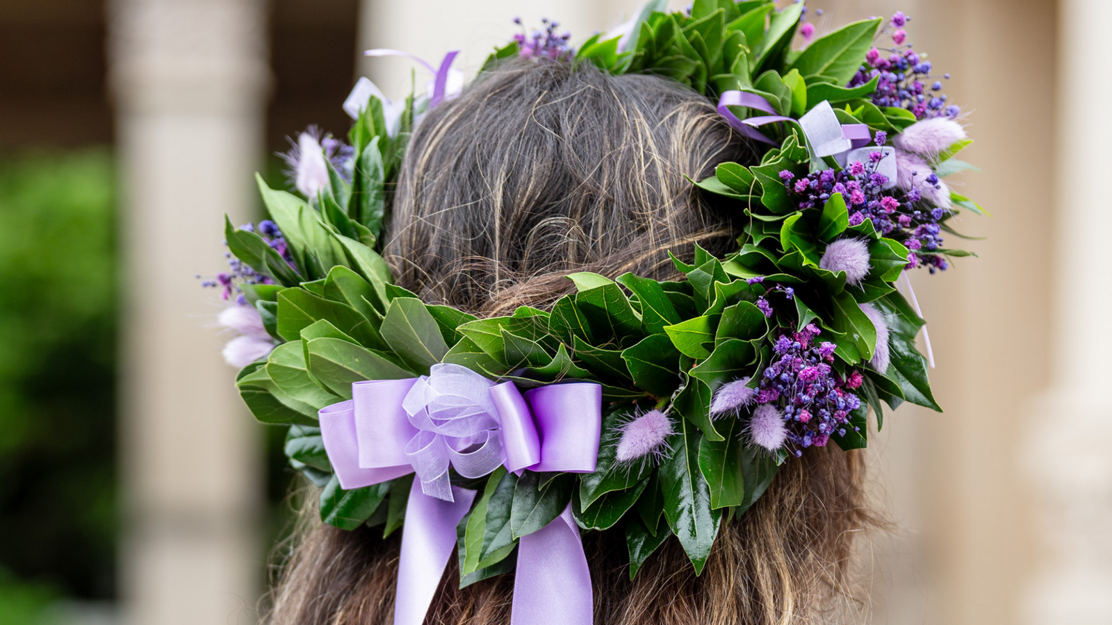 Corona di Laurea Lilla - Corona d'alloro per Scienze Politiche – Alloria