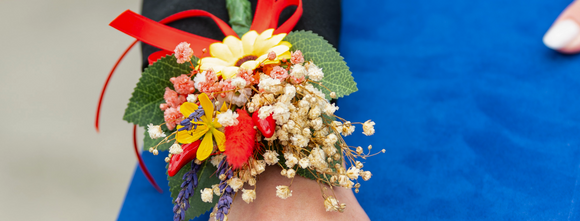 Accessori di Laurea